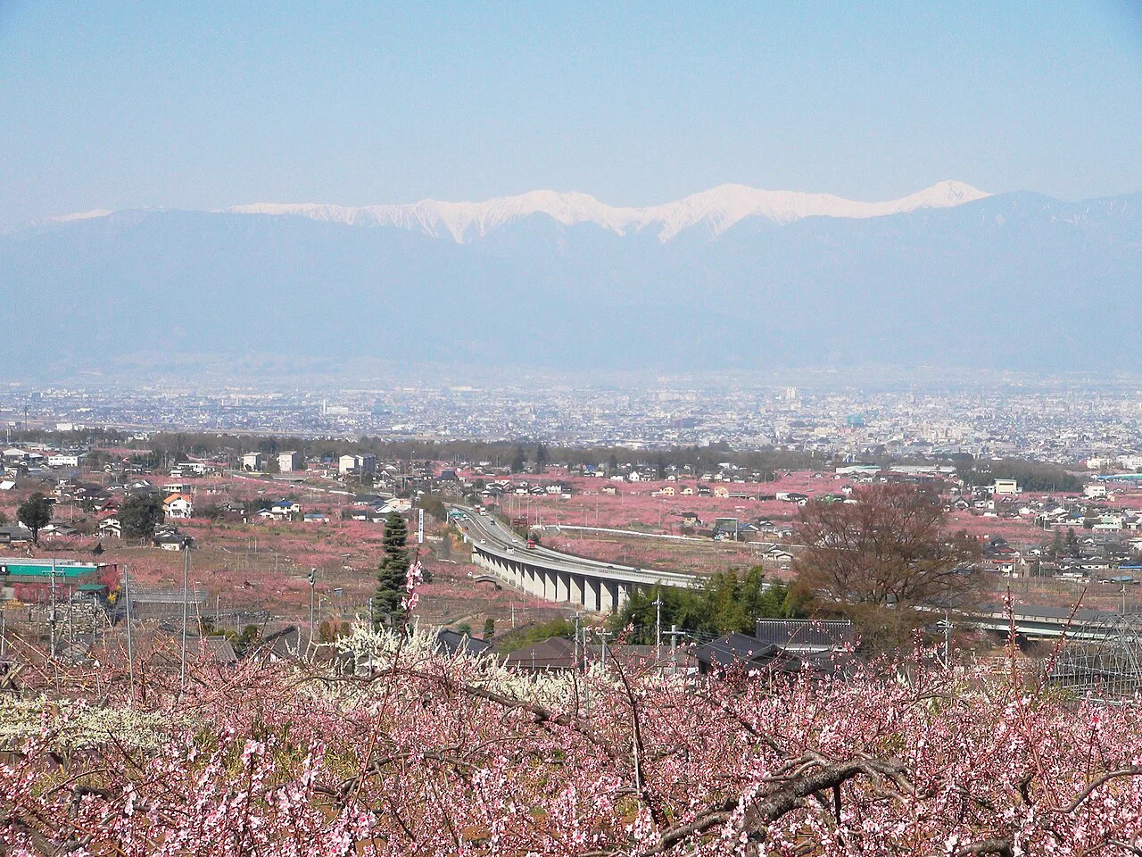 酒店古柏園 2026 日歸現況|本館不賣純入浴,會食可泡;「(なごみの)湯」是另一間市營溫泉