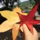 由布院草庵秋桜 vs 山紫御泊処 (はなの)舞怎麼選?料理宿24小時獨立別館(離れ)與8室共享私人包場的取捨