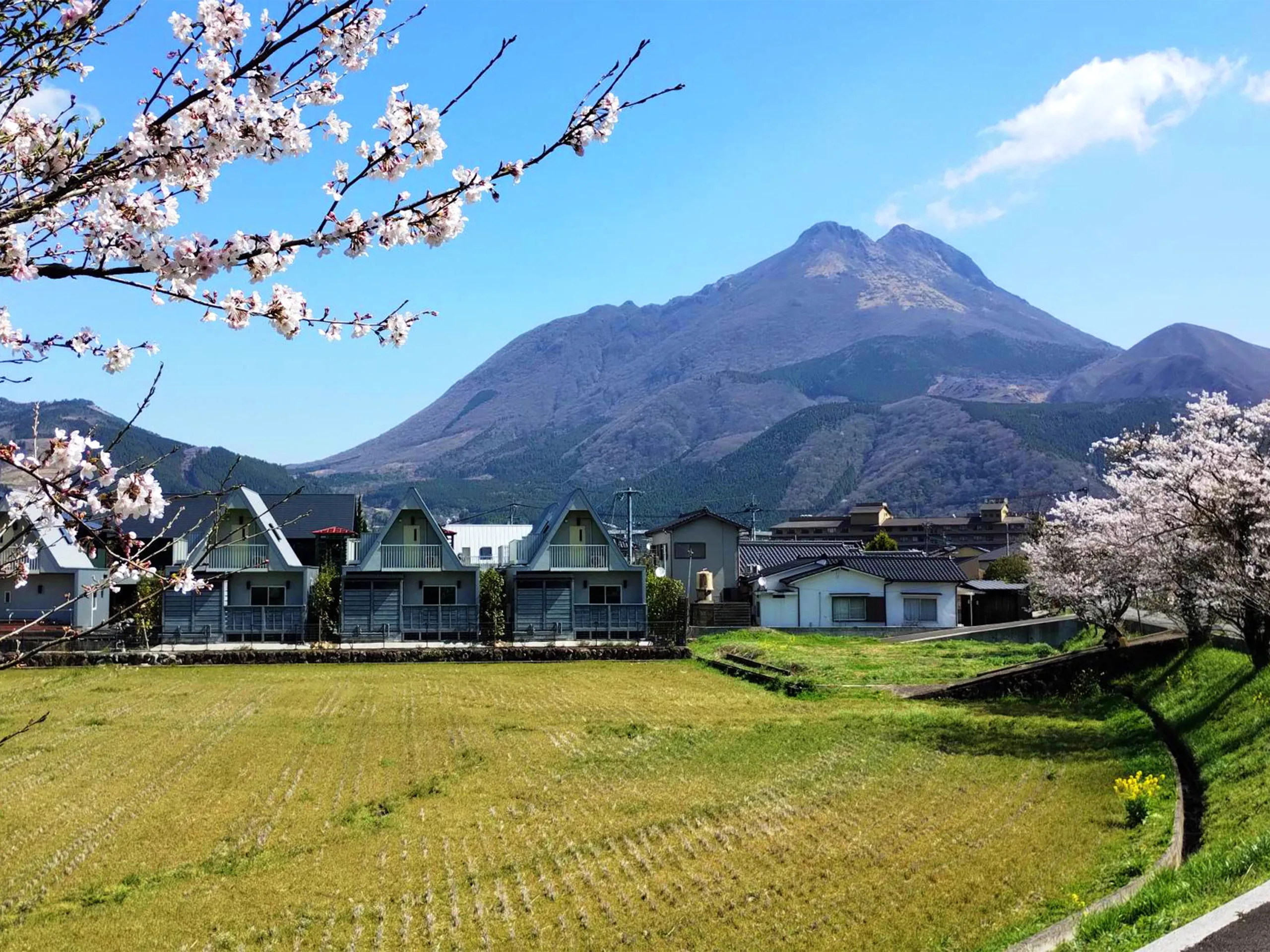 由布院 8A1 八英一值得住嗎？