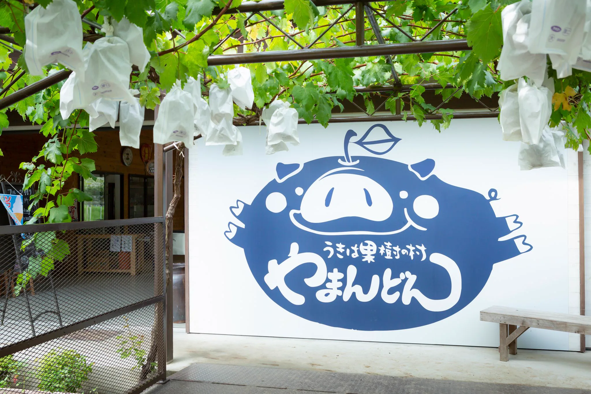 （うきは）水果幾月最好？草莓、桃、葡萄、梨、柿全年月份與採摘攻略