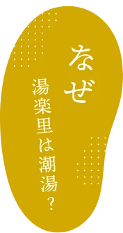 湯前溫泉湯楽里值得去嗎?2026 ¥500(約 HK$25/NT$102)潮湯、家族湯、桑拿與(くま)川鉄道攻略