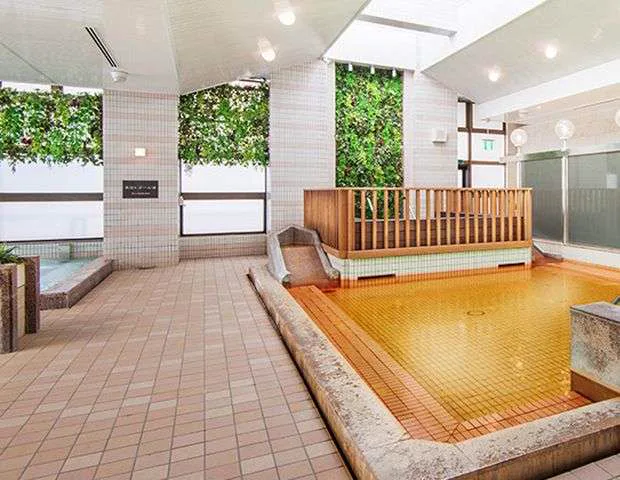 東京・大田區・西蒲田/蓮沼溫泉設施(はすぬま温泉)(大田区)之口(コミ)情報「(こんな)銭湯(だったら)毎日通(いたい)。…」(2026年01月26日 12時54分投稿)|(ニフティ)溫泉