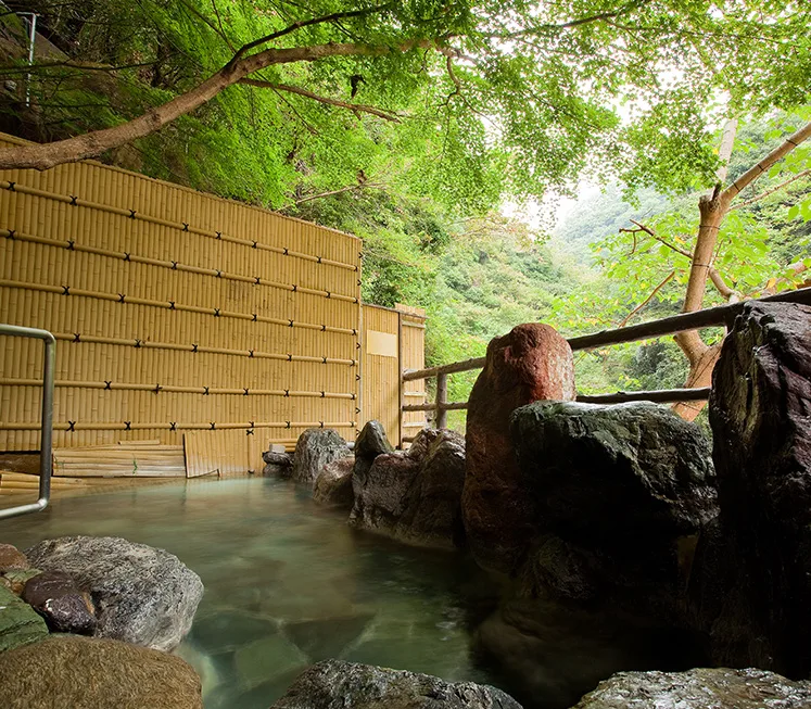 攝津峽 花之里溫泉 山水館(摂津峽 花の里溫泉 山水館)第二張旅館實景