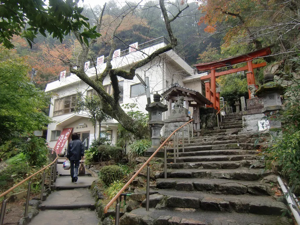 廣島冷礦泉／低溫泉怎麼選？