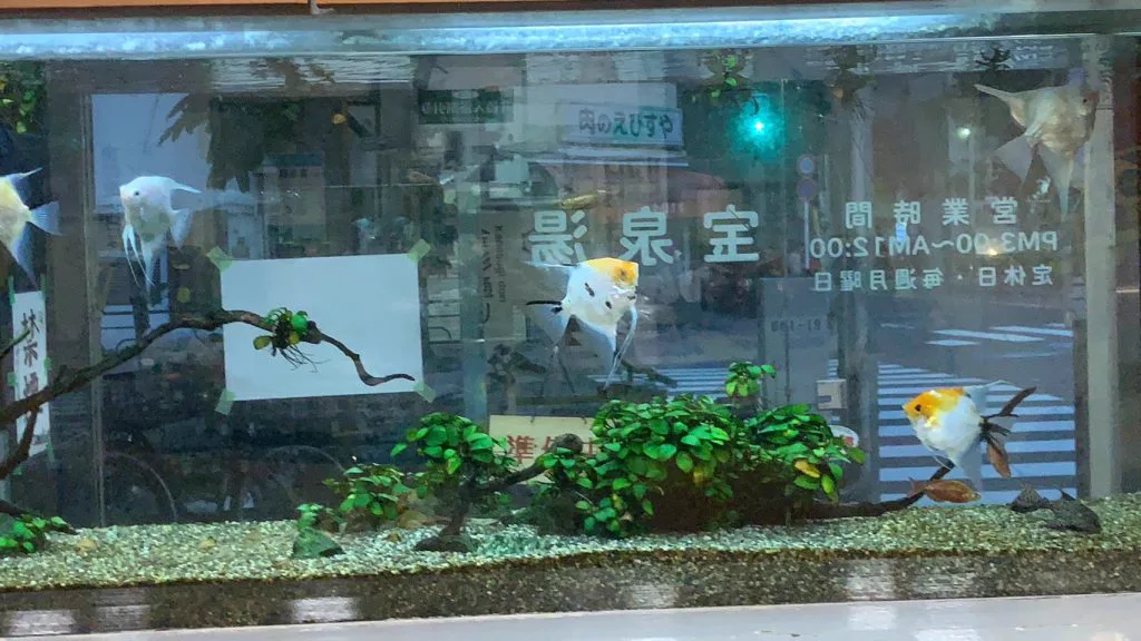 宝泉湯 | 台東銭湯