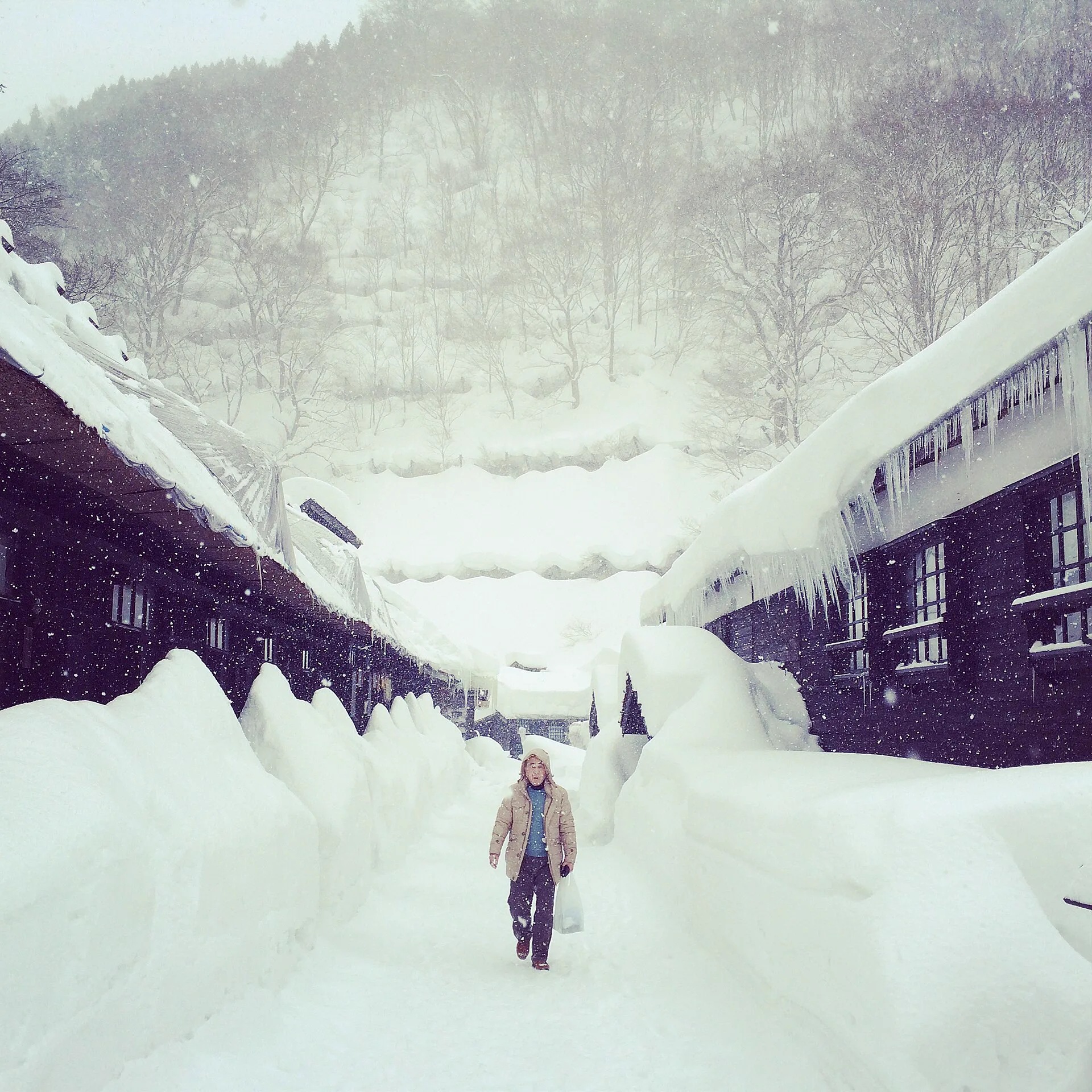 東北雪景溫泉怎麼選?乳頭、藏王、銀山、八甲田冬季交通與泡湯比較