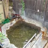 別府(のお)宿 加賀屋