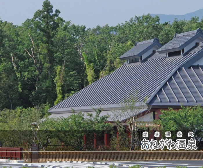 滋賀・滋賀縣・長濱市・八島町／姉川溫泉設施（あねがわ温泉）完整攻略｜2026費用、41°C／42.5°C天然泉、陶板浴、限制與值不值得去