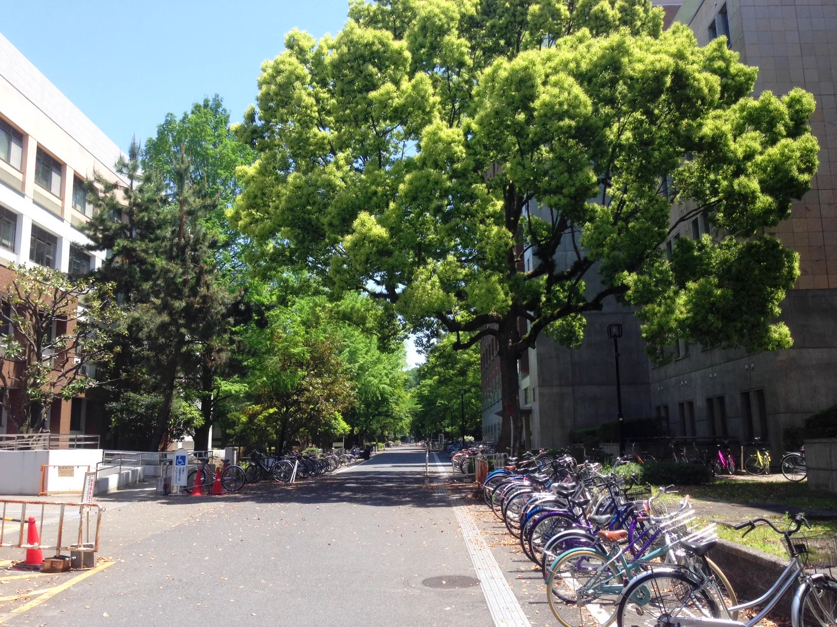 京都左京區錢湯怎麼選？2026按「行程終點」選11間，不用再折返京都站