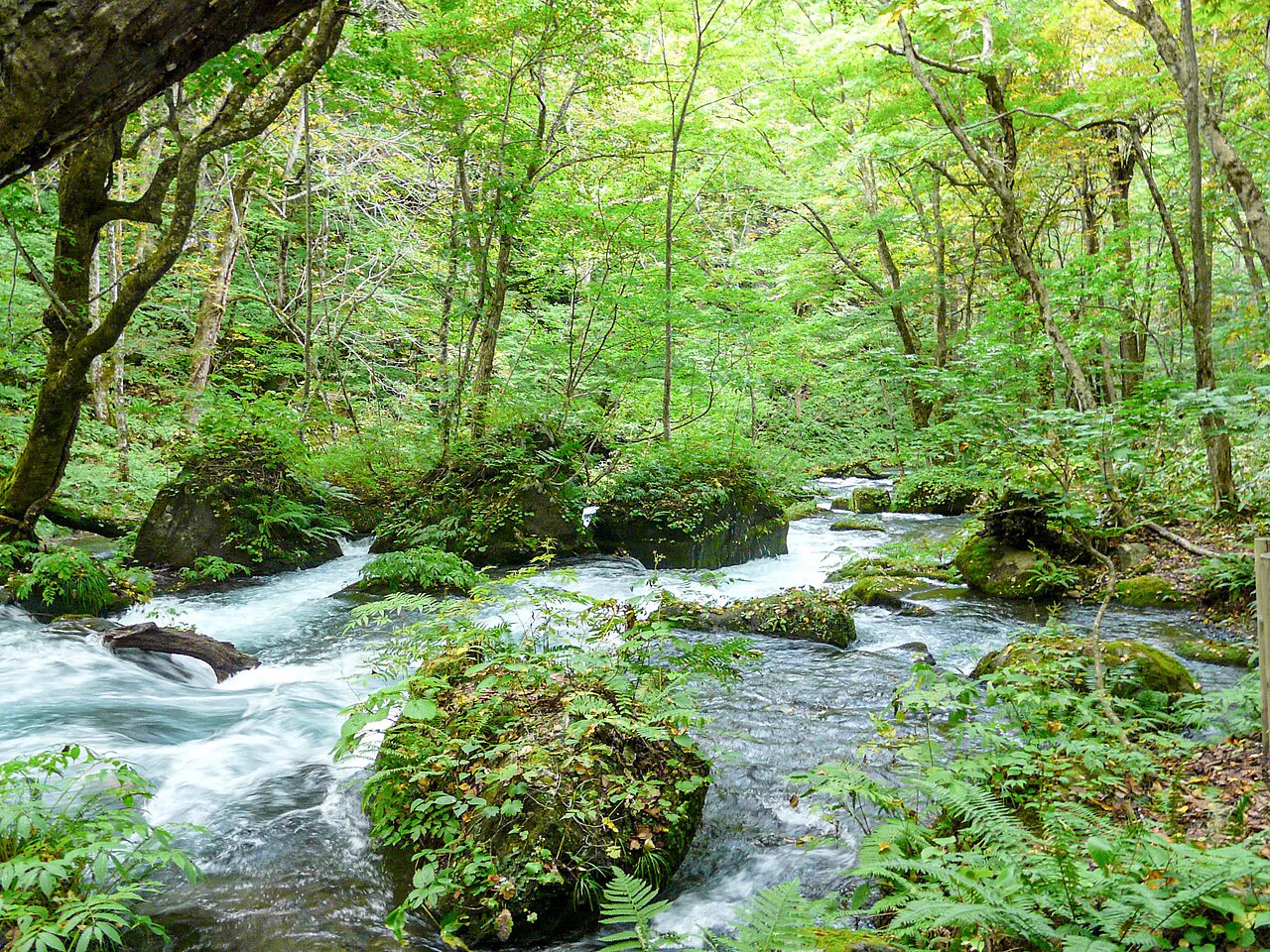 奧入瀨溪流溫泉怎麼去？青森、八戶、七戶十和田三個入口先按住宿基地選