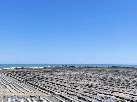 【官方】酒店青島（サンクマール）