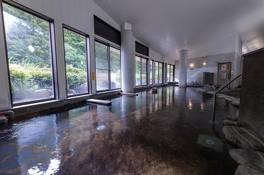 串間溫泉（いこいの）里要日歸還是住一晚？2026 和室、cottage與公共大浴場（大浴場，供多名住客共同使用）怎麼選