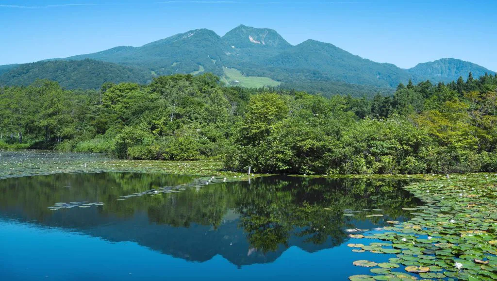關溫泉日歸怎麼選？2026 中村屋、朝日屋、登美屋、休暇村妙高價格、紅湯與冬季比較