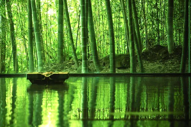 湯峽之響(き)優彩竹林之湯的大型浴池與窗外竹林