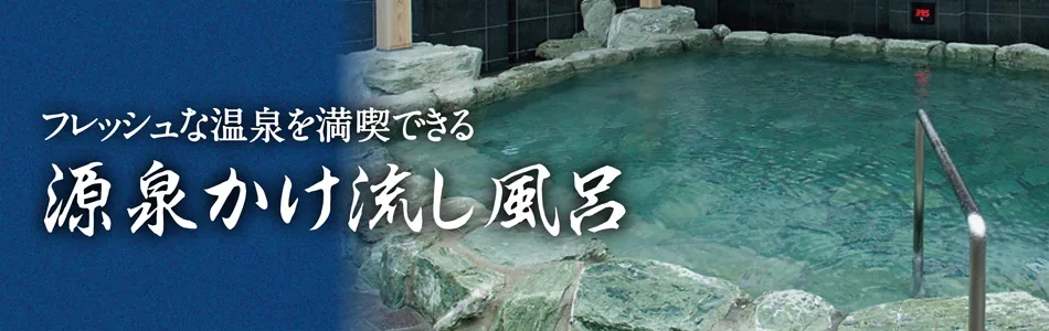德島市天然溫泉四館怎麼選?(あらたえ) vs (えびす) vs 八万乙女 vs (びざん),2026價格、泉質、桑拿與交通比較