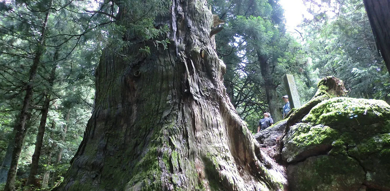 大滝溫泉 文勝館 | 早川町役場