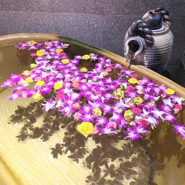 The Mystic Onsen - Visit Kinosaki