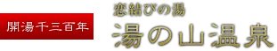 湯之山溫泉日歸怎麼選？Green Hotel、Hotel Yunomoto、希望莊、壽亭 2026 比較