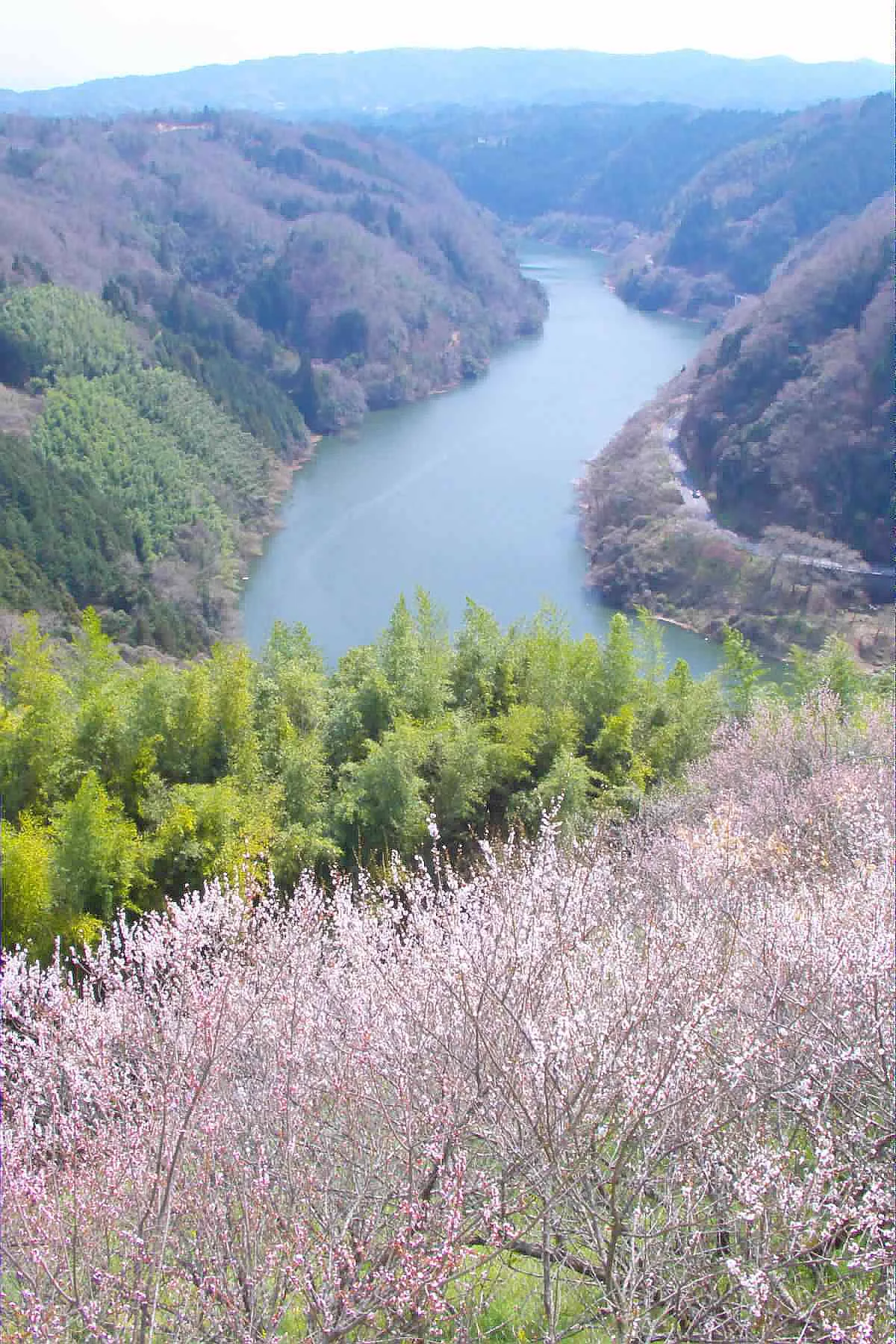 月瀨（月ヶ瀬）山間景觀