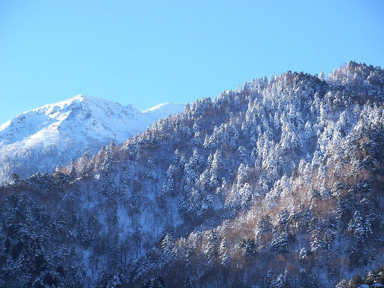 高山到奧飛驒溫泉鄉怎麼去？平湯、福地、新平湯、栃尾、新穗高巴士與轉乘一次分清