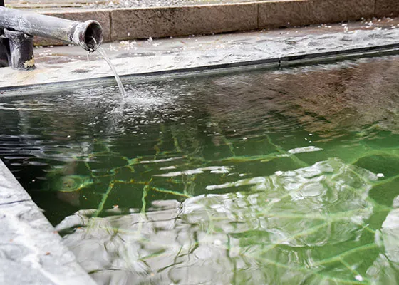 溫泉|【官方】咲花溫泉 一水荘|泉源掛流 (エメラルドグリーンの)溫泉(と)手作(り)會席