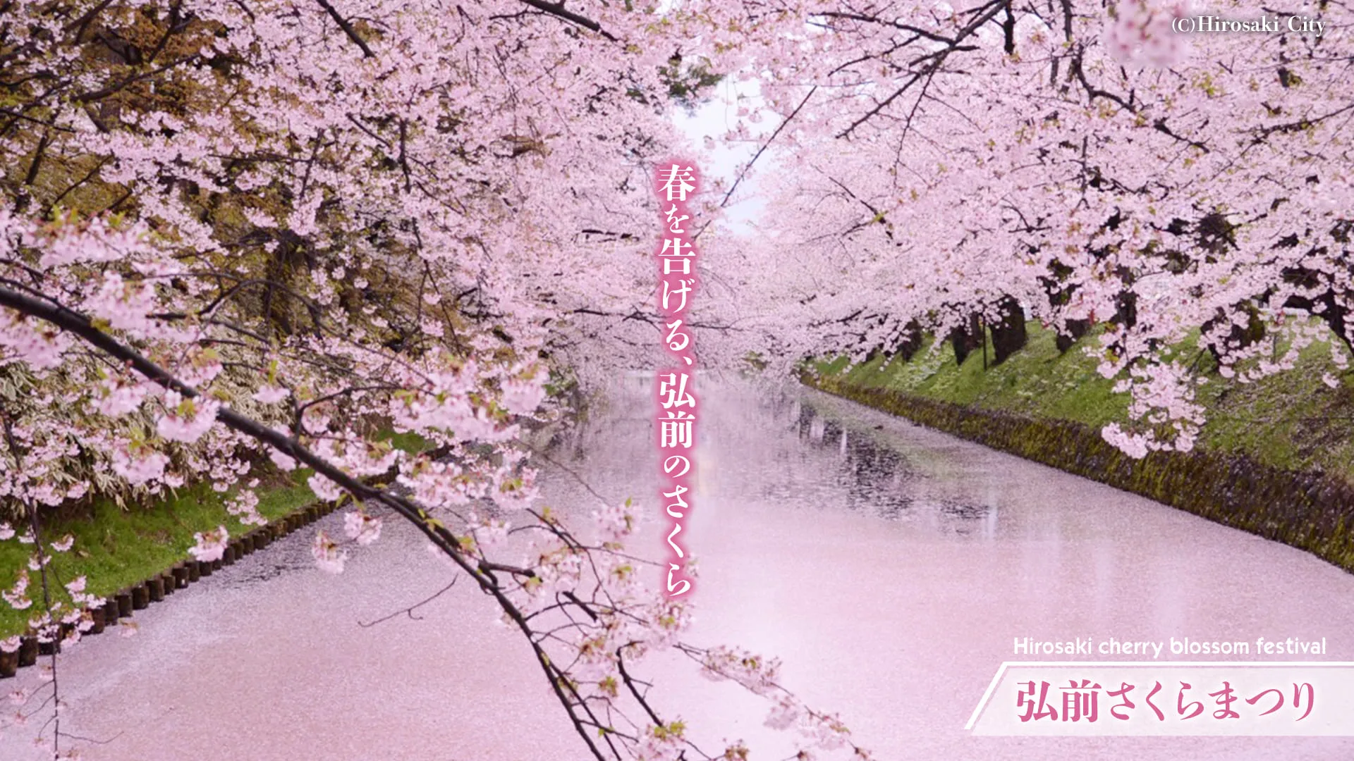 【官方】青森・大鰐／阿闍羅山・滝（ノ）澤溫泉設施（青森ワイナリーホテル） 青森之絶景酒店