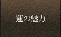 費用・營業時間：日歸溫泉｜[官方] 神戸 溫泉 蓮（神戸みなと温泉 蓮） (ホテル・旅館・日歸溫泉)｜（ベストレート）