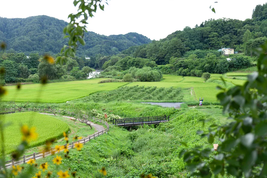 岩手縣二戸市金田一溫泉 岩手縣二戸市