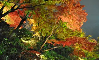 有馬溫泉旅館怎麼選?7 間金泉銀泉、私人浴池與親子住宿比較