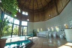 九州怕熱／溫湯（ぬる湯，水溫較一般熱湯低）溫泉怎麼選？長湯、古湯・熊之川、七里田、別府 2026 低水溫攻略
