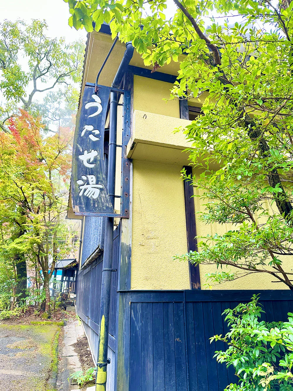 筋湯溫泉日歸怎麼選？（うたせ）公共大浴場（大浴場，供多名住客共同使用）、岩（ん）湯、薬師湯與私人包場浴池（貸切浴池，按時段供同一組客人獨立使用）比較
