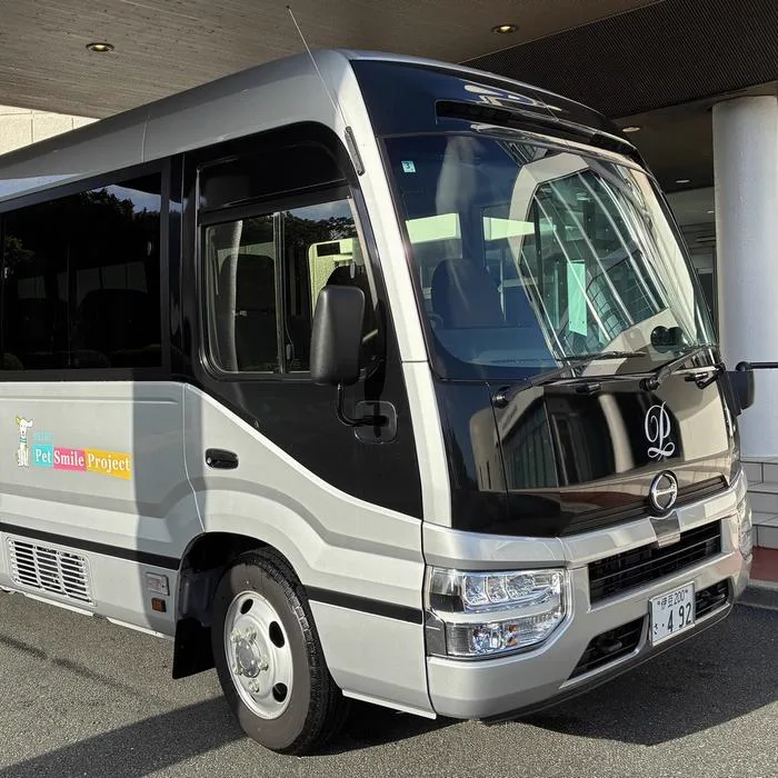 下田溫泉海景旅館怎麼選?白濱住宿、下田市區與一泊二日取捨
