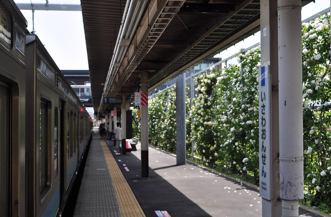 湯元湯之川日歸攻略：¥900（約 HK$45／NT$183）公共大浴場（大浴場，供多名住客共同使用）、¥2,500（約 HK$126／NT$508）私人包場值不值得？2026掛流、預約與交通完整整理