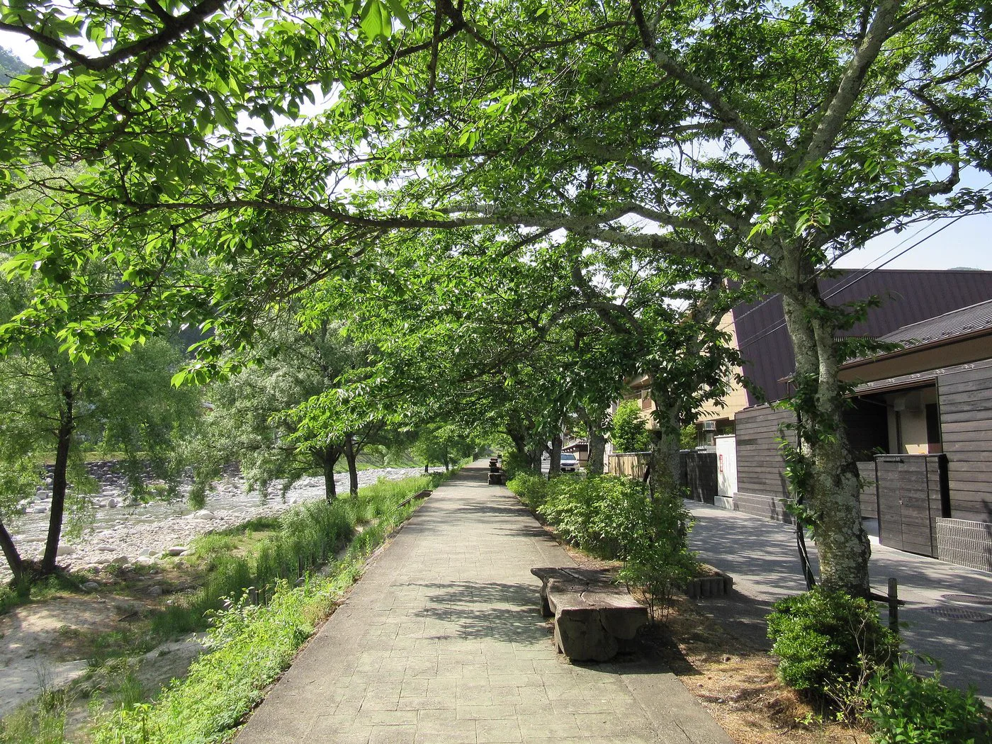 琴平溫泉日歸2026怎麼選？八千代 vs 琴平花壇，琴参閣、桜之抄其實不能純泡湯
